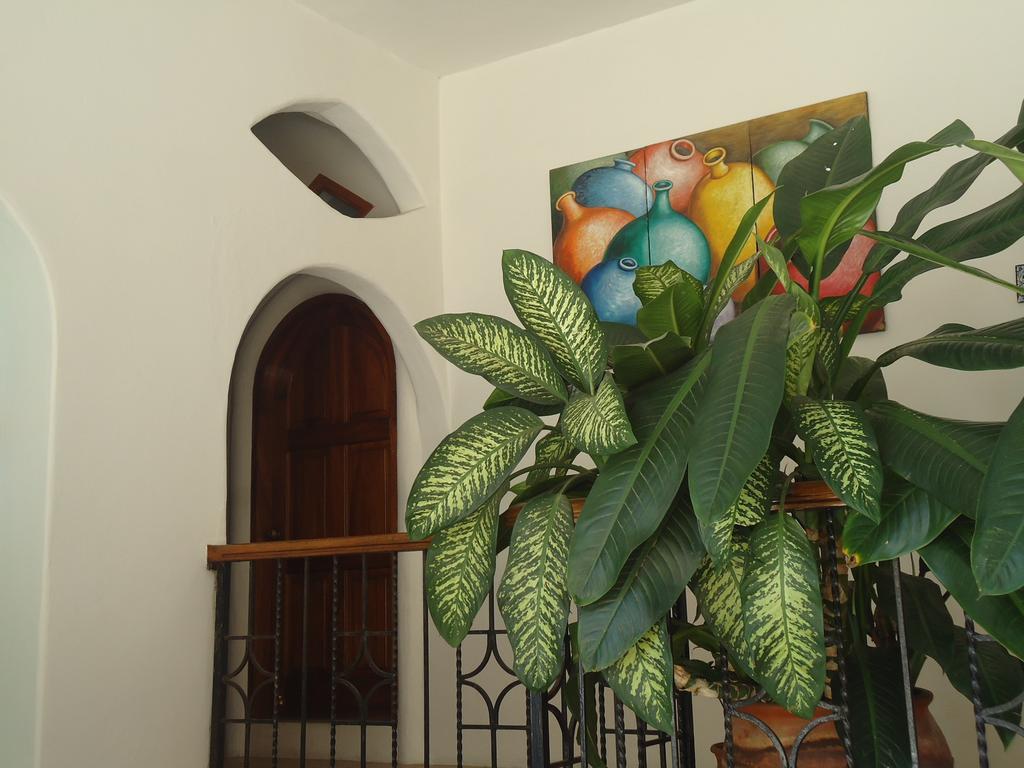 Hotel Cordelia'S Puerto Ángel Eksteriør billede